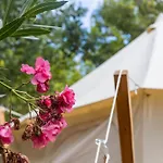 Holacamp Gandia Daimus