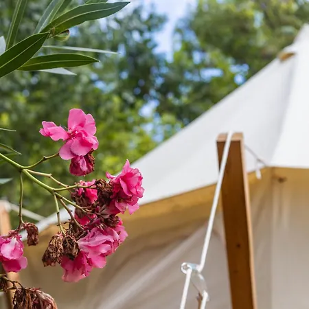 Holacamp Gandia Daimuz