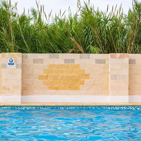 Holacamp Gandia * Daimús