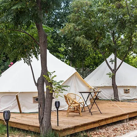 Holacamp Gandia * Daimus