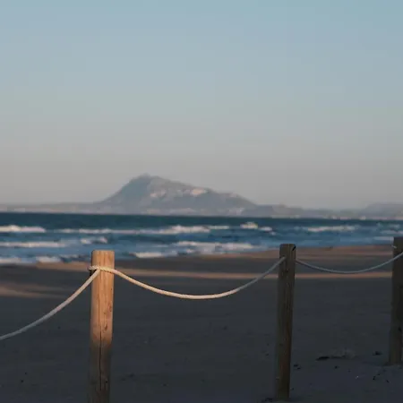 Holacamp Gandia Daimuz