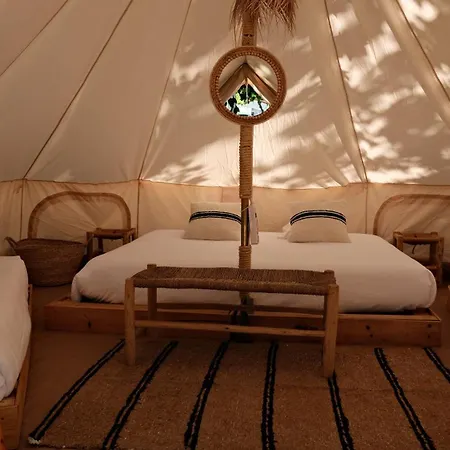 Holacamp Gandia * Daimuz