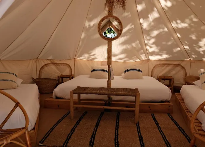 Holacamp Gandía * Daimus