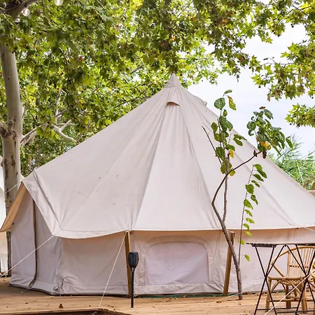 Holacamp Gandia Daimus